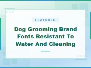 Fonts That Survive Splashes and Scrubs